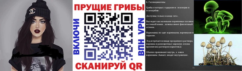 МЕГА tor  Гвардейск  Галлюциногенные грибы MAGIC MUSHROOMS 